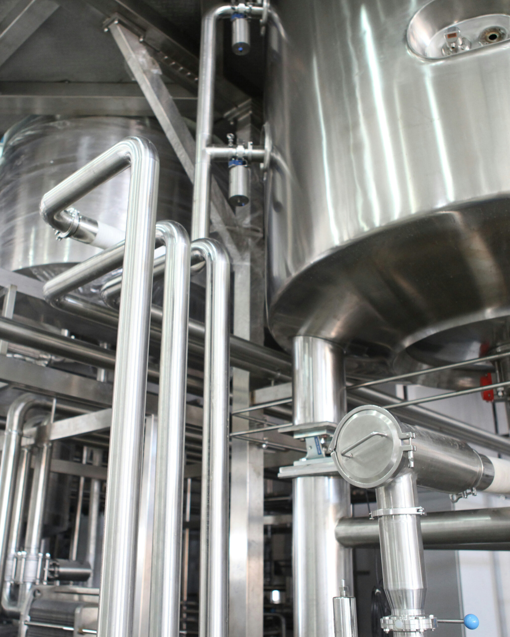 Elgass Tech & Consulting